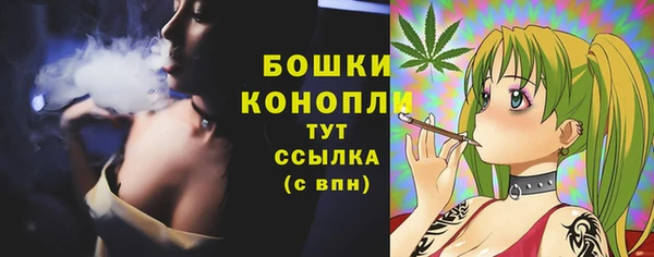 прущие крисы Козельск