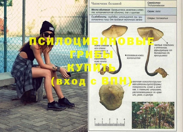 не бодяженный Кодинск
