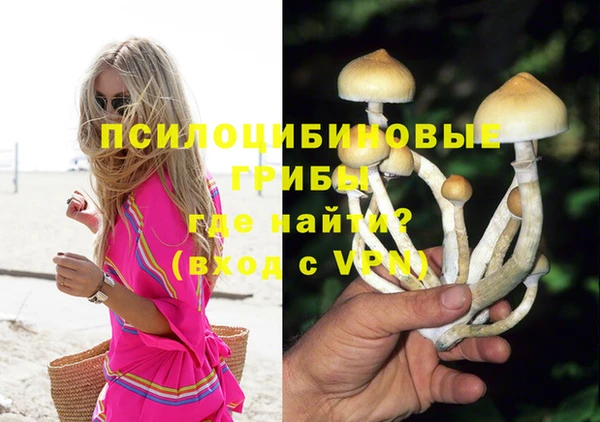 тгк Козловка