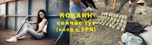 тгк Козловка