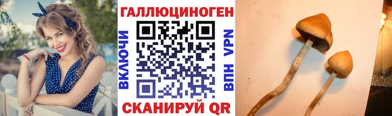 Галлюциногенные грибы мицелий  Купить  Будённовск 